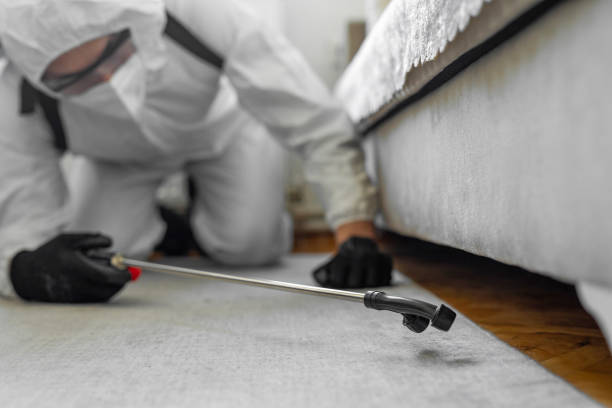 Professional Termite Control technician working in Islip Terrace, NY