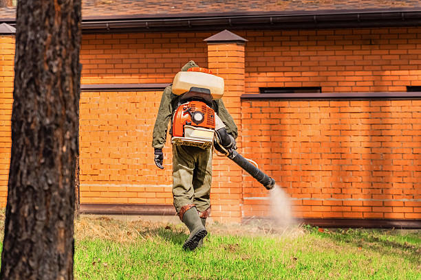 Trusted Cockroach Control service in Islip Terrace, NY - Nex Pest Control